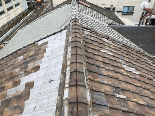 2020-10-10-%e4%bd%90%e9%87%8e%e6%a7%98%e9%82%b8%e3%80%80%e5%a4%a7%e5%b1%8b%e6%a0%b9_201012_0